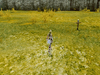 Dancer Update & Plans&nbsp;Forward